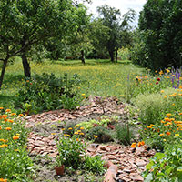 Herb garden