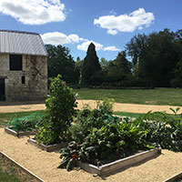 Veg boxes